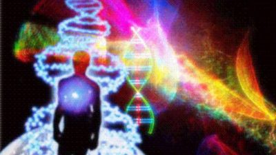 Kenyan scientists decode jigger’s DNA mystery