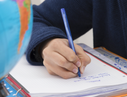 Mandatory Reforms: History, Aesthetics, and Vocational Subjects Introduced – PM Mandatory Reforms: History, Aesthetics, and Vocational Subjects Introduced – PM
