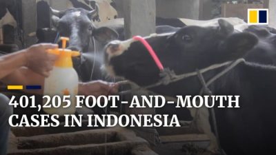 Kisumu Imposes Livestock Quarantine Amid Foot and Mouth Outbreak