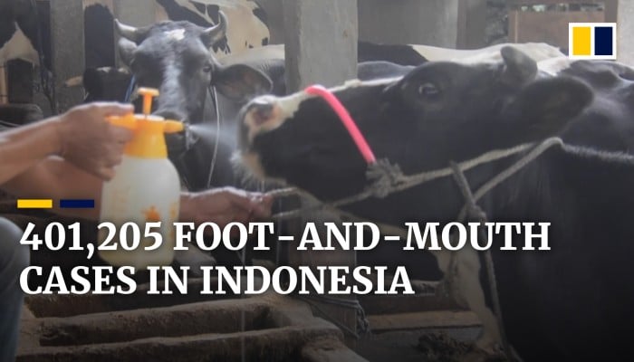 Kisumu Imposes Livestock Quarantine Amid Foot and Mouth Outbreak