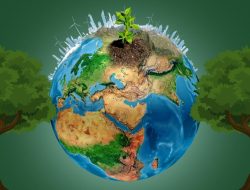 Promoting a Green Economy to Combat Climate Change Promoting a Green Economy to Combat Climate Change