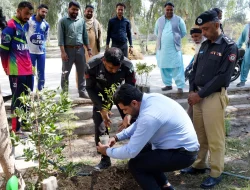 Sindh Leads Provincial Climate Efforts: Spokesperson Says Sindh Leads Provincial Climate Efforts: Spokesperson Says