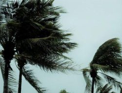 Prakiraan Cuaca NTT Hari Ini: Berawan, Waspadai Angin Kencang