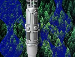 Small Reactors Mark New Era