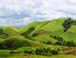 Bukit Kukusan: Wisata Terbaru 2025, Semua Informasi Penting