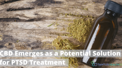 Hwange’s New CBD Emerges