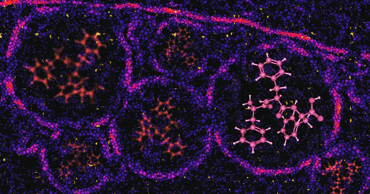 Nanotech Revolutionizes Early Cancer Detection