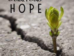 Cautious Hope for Maphisa Uhuru Celebration Cautious Hope for Maphisa Uhuru Celebration