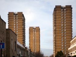 Wicklow housing crisis: rats, damp, mould and waste under scrutiny Wicklow housing crisis: rats, damp, mould and waste under scrutiny