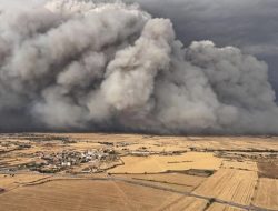 Wildfire Claims 2 Lives in Spain Amid Scorching European Heat Wave Wildfire Claims 2 Lives in Spain Amid Scorching European Heat Wave