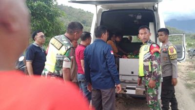 Stabil, Ini Harga Kemiri Kering di Aceh Tenggara per Kilogram