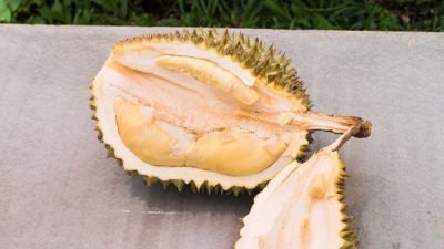 Thai Durian: The King of Fruits with a Bold Flavor and Strong Smell