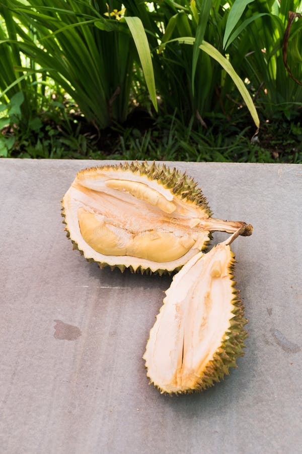 Thai Durian: The King of Fruits with a Bold Flavor and Strong Smell