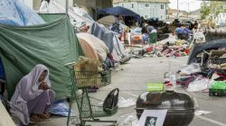 Rising Homeless Student Numbers in California: A Surprising Silver Lining?