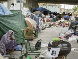 Rising Homeless Student Numbers in California: A Surprising Silver Lining?