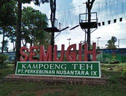 Kampoeng Teh Semugih: Informasi Lengkap 2025 Kampoeng Teh Semugih: Informasi Lengkap 2025
