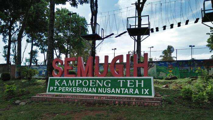 Kampoeng Teh Semugih: Informasi Lengkap 2025