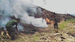 Karhutla Kembali Terjadi di Kampung Kalang Rawe Aceh Tengah, Sudah Mencapai 10 Hektare