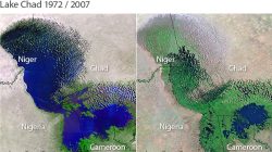 Lake Chad Basin: Governments Must Intensify Fight Against ISWAP