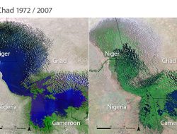 Lake Chad Basin: Governments Must Intensify Fight Against ISWAP Lake Chad Basin: Governments Must Intensify Fight Against ISWAP