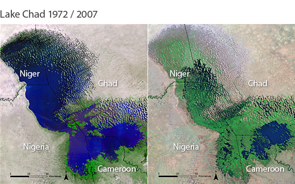 Lake Chad Basin: Governments Must Intensify Fight Against ISWAP