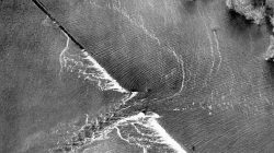 Levee breach floods villages and farmland
