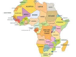 Africa’s First Zinc-Rich Rice Seeds Unveiled by NCRI