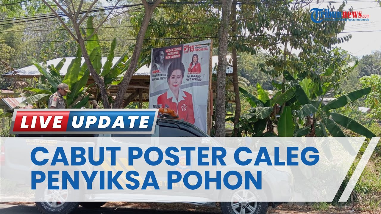 Satpol PP Tana Toraja Temukan Baliho Kadaluarsa di Makale, Termasuk ‘The Legend of Pongtiku’