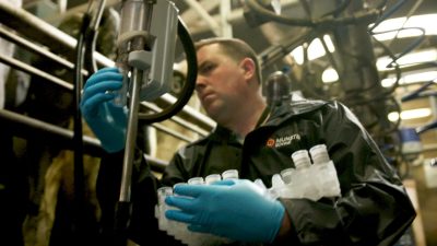 How Milk Recording Revival Unlocks Top Cows