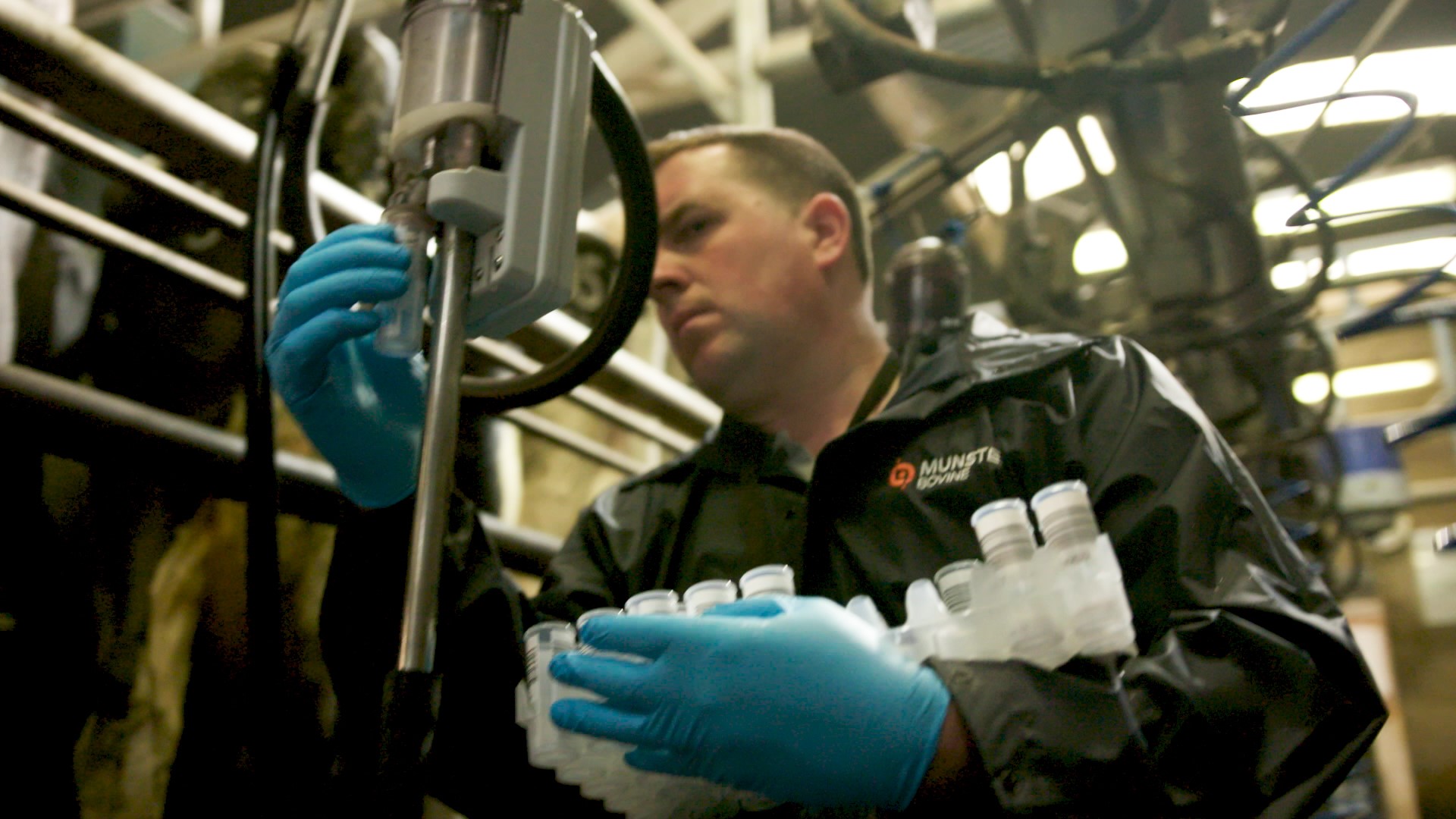 How Milk Recording Revival Unlocks Top Cows