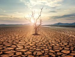 Climate Crises: A Global Alert