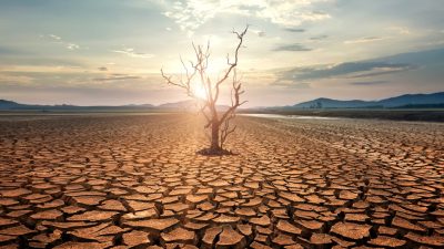 Climate Crises: A Global Alert