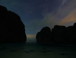 158 Blacktip Reef Sharks Seen in Maya Bay