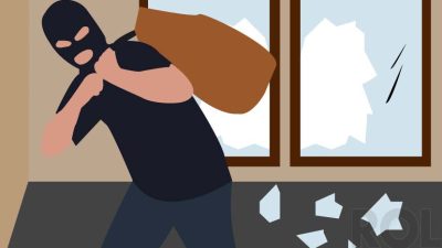 Pencurian Buah Kakao Merajalela, Petani Wajib Awasi Kebun 24 Jam