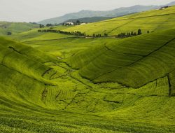 Top 10 Must-Visit Spots in Kigali for Travelers Top 10 Must-Visit Spots in Kigali for Travelers