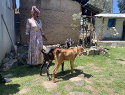 Embrace Rural Progress Embrace Rural Progress