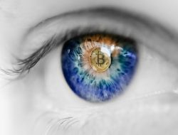 This Altcoin Surpasses Bitcoin’s ROI — Should Nigerian Investors Take Note?
