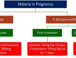 First Baby Malaria Treatment Approved First Baby Malaria Treatment Approved