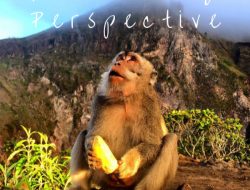 Nigeria-Caribbean Ties: A Traveling Perspective Nigeria-Caribbean Ties: A Traveling Perspective
