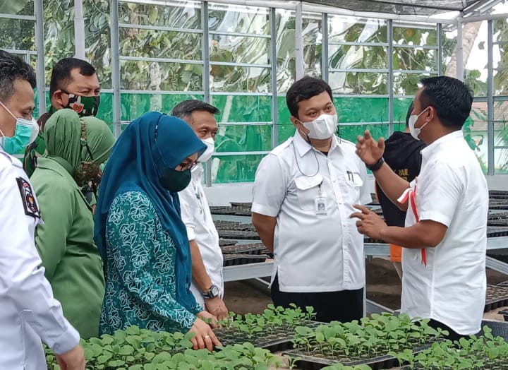 Membangun Ketahanan Pangan di Pusat Kota dengan Green House