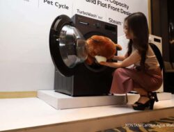 Persaingan Otomotif di Cirebon Makin Sengit: Hyundai Luncurkan Dua Tipe Stargazer Baru