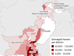 Attack on Indus: Threat to Pakistan’s Heritage and Civilization