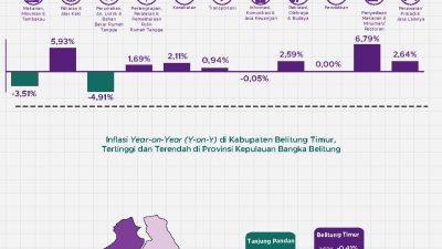Inflasi Bulanan Belitung Timur 1,04 Persen, Sektor Pangan Jadi Penyebab Utama