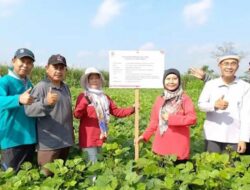 Malang dan Pasuruan Jadi Pusat Ekonomi Baru Jawa? Malang dan Pasuruan Jadi Pusat Ekonomi Baru Jawa?