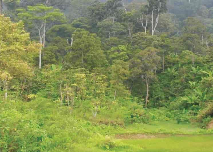 Pemekaran Mengguncang Riau! Duri Minta Jadi Kota Otonom