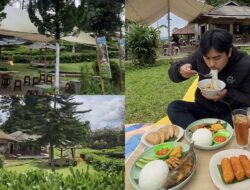 Ngopi di Kebun Teh Waroeng Teko Garut, Spot Healing yang Menyenangkan