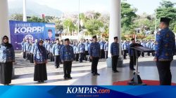 Ketentuan Lengkap PPPK Paruh Waktu dan Jabatan yang Bisa Diajukan
