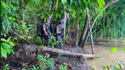 Penggerebekan Anggota KKB oleh Satgas Ops Damai Cartenz di Puncak Jaya