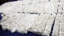 Bareskrim Gagalkan Penyelundupan 80 Kilogram Sabu di Pare-pare