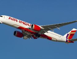 Air India Minta Maaf Atas Kehadiran Kecoak di Pesawat